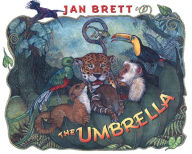 The Umbrella (Board Book)