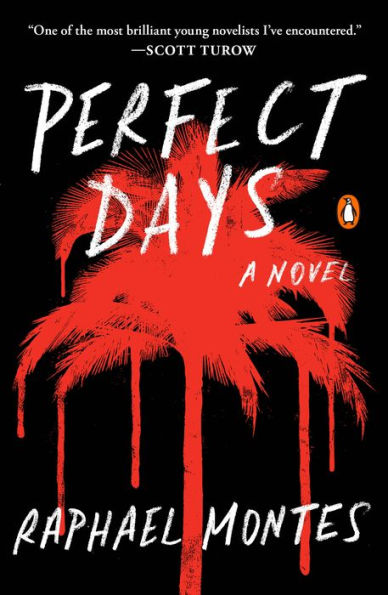 Perfect Days: A Novel