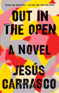 Title: Out in the Open: A Novel, Author: Jesús Carrasco