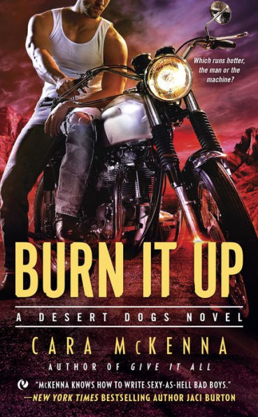 Burn It Up (Desert Dogs Series #3)