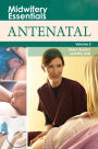 Midwifery Essentials: Antenatal E-Book: Midwifery Essentials: Antenatal E-Book