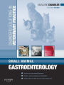 Solutions Veterinary Practice: Small Animal Gastroenterology E-Book