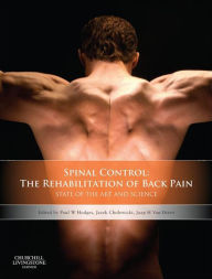 Title: Spinal Control: The Rehabilitation of Back Pain: State of the art and science, Author: Paul W. Hodges PhD MedDr DSc BPhty(Hons) FACP