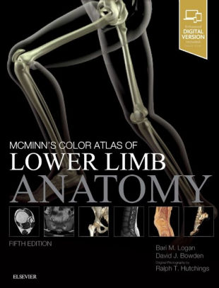 Mcminn S Color Atlas Of Lower Limb Anatomy Edition 5 By Bari M Logan Ma Fma Hon Mbie Mamaa David Bowden Ma Vetmb Mb Bchir Frcr Ralph T Hutchings 9780702072185 Hardcover Barnes Noble