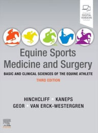 Title: Equine Sports Medicine and Surgery: Basic and clinical sciences of the equine athlete, Author: Kenneth W Hinchcliff BVSc