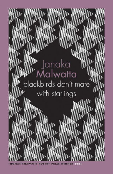 blackbirds don't mate with starlings