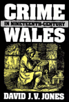 Title: Crime in Nineteenth-Century Wales, Author: David J. V. Jones