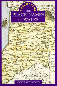 Title: Place-Names of Wales: A Pocket Guide, Author: Hywel Wyn Owen