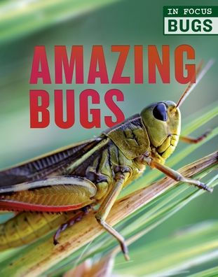 Amazing Bugs