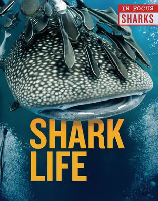 Shark Life