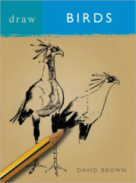 Title: Draw Birds, Author: David Brown