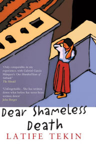Title: Dear Shameless Death, Author: Latife Tekin