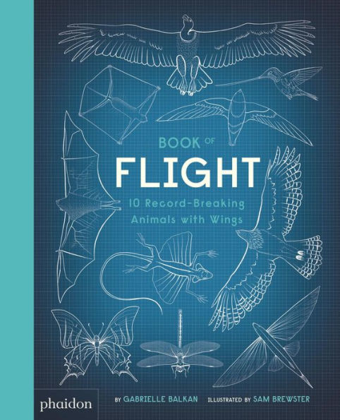 Book of Flight: 10 Record-Breaking Animals with Wings