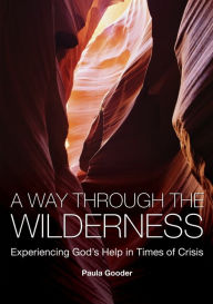 Title: A Way Through the Wilderness: Experiencing God's Help in Times of Crisis, Author: Paula Gooder