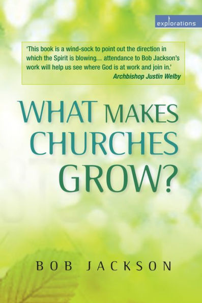 What is Making Churches Grow?: Vision and practice effective mission