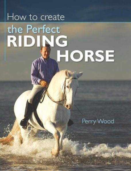 How to Create the Perfect Riding Horse