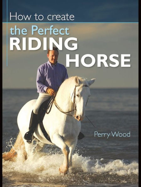 How to Create the Perfect Riding Horse