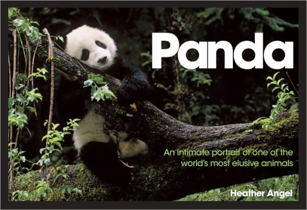 Panda: An Intimate Portrait Of One Of The World's Most Elusive Characters