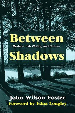 Between Shadows: Modern Irish Writing and Culture