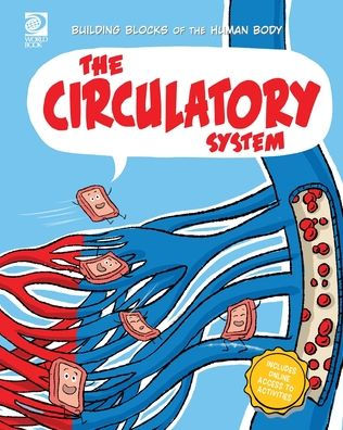 The Circulatory System