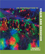 Title: An Introduction to Brain and Behavior / Edition 3, Author: Bryan Kolb