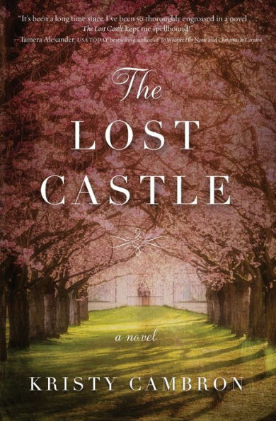 The Lost Castle: A Split-Time Romance
