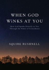 When God Winks at You: How God Speaks Directly to You Through the Power of Coincidence