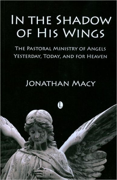 The Shadow of his Wings: Pastoral Ministry Angels: Yesterday, Today, and for Heaven