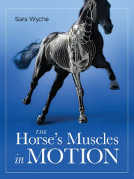 Ebook download for android tablet Horse's Muscles in Motion English version DJVU