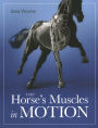 Horse's Muscles in Motion