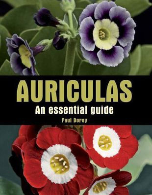 Auriculas: An Essential Guide