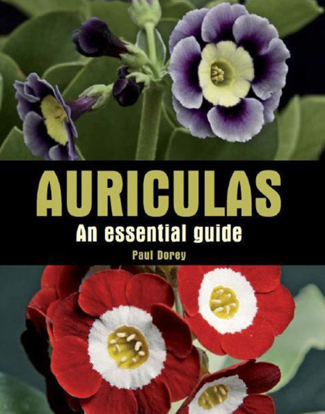 Auriculas: An Essential Guide