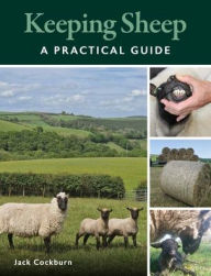Download free ebooks english Keeping Sheep