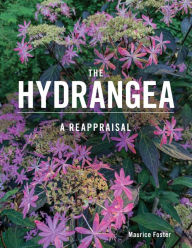 Free ebooks mobi format download The Hydrangea: A Reappraisal in English by Maurice Foster