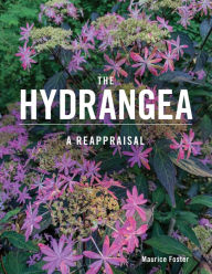 Title: The Hydrangea: A Reappraisal, Author: Maurice Foster