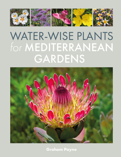 Water-Wise Plants for Mediterranean Gardens