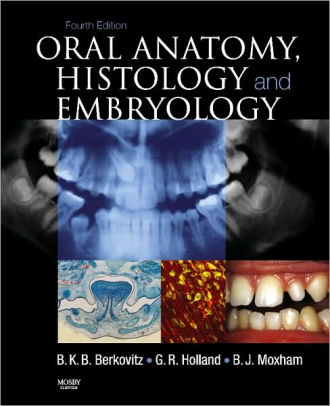 Dental Anatomy Its Relevance to Dentistry