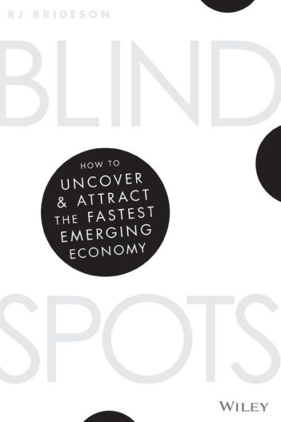 Blind Spots: How to Uncover and Attract the Fastest Emerging Economy