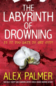 Title: The Labyrinth of Drowning, Author: Alex Palmer