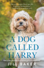 A Dog Called Harry