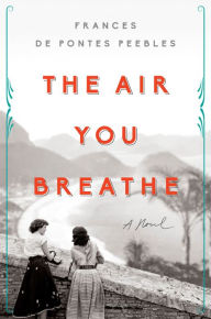 Free download audio books ipod The Air You Breathe