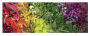 Alternative view 2 of Plant Life 1000 Piece Panoramic Puzzle