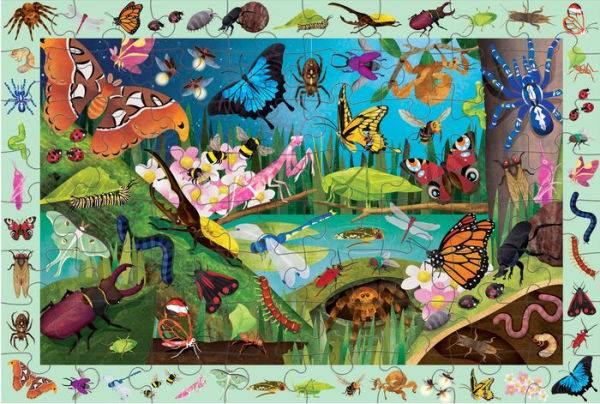 Bugs & Butterflies 64 Piece Search & Find Puzzle