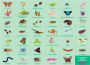 Alternative view 3 of Bugs & Butterflies 64 Piece Search & Find Puzzle