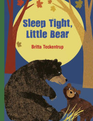 Title: Sleep Tight Little Bear, Author: Britta Teckentrup