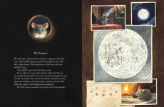 Alternative view 4 of Armstrong Special Edition: The Adventurous Journey of a Mouse to the Moon