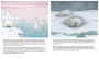 Alternative view 2 of Little Polar Bear/Bi:libri - Eng/German PB