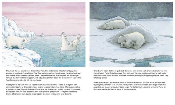 Little Polar Bear/Bi:libri - Eng/French PB