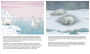 Alternative view 2 of Little Polar Bear/Bi:libri - Eng/French PB