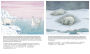 Alternative view 2 of Little Polar Bear/Bi:libri - Eng/Chinese PB